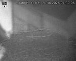 Capi_Dubne_20261020_043006.jpg