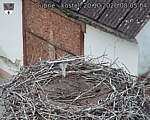 Capi_Dubne_20261020_080504.jpg