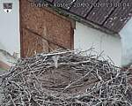 Capi_Dubne_20261020_130004.jpg