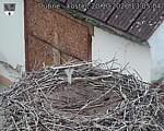 Capi_Dubne_20261020_130504.jpg