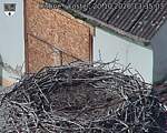Capi_Dubne_20261020_133503.jpg