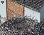 Capi_Dubne_20261020_134003.jpg
