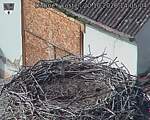 Capi_Dubne_20261020_140504.jpg