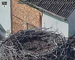 Capi_Dubne_20261020_150004.jpg