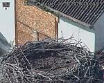 Capi_Dubne_20261020_152003.jpg