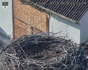 preload