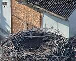 Capi_Dubne_20261020_162004.jpg