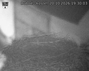 Capi_Dubne_20261020_193003.jpg (1350&nbsp;x&nbsp;1080)