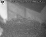 Capi_Dubne_20261020_194003.jpg