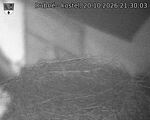 Capi_Dubne_20261020_213003.jpg