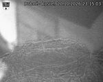 Capi_Dubne_20261020_231503.jpg