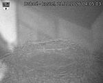 Capi_Dubne_20261021_040503.jpg