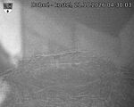 Capi_Dubne_20261021_043003.jpg