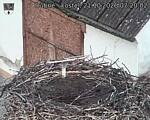 Capi_Dubne_20261021_072002.jpg