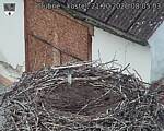 Capi_Dubne_20261021_080504.jpg