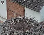 Capi_Dubne_20261021_081504.jpg