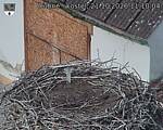 Capi_Dubne_20261021_111004.jpg