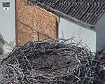 Capi_Dubne_20261021_141003.jpg
