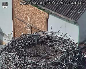 Capi_Dubne_20261021_141003.jpg (1350&nbsp;x&nbsp;1080)