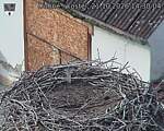 Capi_Dubne_20261021_143004.jpg