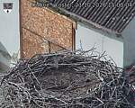 Capi_Dubne_20261021_150004.jpg