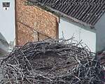 Capi_Dubne_20261021_150503.jpg