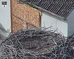 Capi_Dubne_20261021_151004.jpg