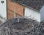 Capi_Dubne_20261021_154502.jpg