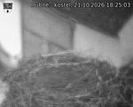 Capi_Dubne_20261021_182503.jpg