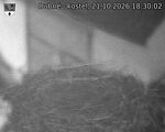 Capi_Dubne_20261021_183002.jpg