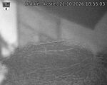 Capi_Dubne_20261021_185503.jpg