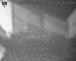 Capi_Dubne_20261021_191503.jpg