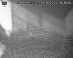 Capi_Dubne_20261021_193002.jpg