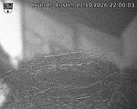 Capi_Dubne_20261021_220003.jpg
