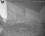 Capi_Dubne_20261024_000004.jpg