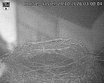 Capi_Dubne_20261024_030004.jpg