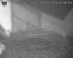 Capi_Dubne_20261024_060003.jpg