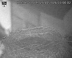 Capi_Dubne_20261025_030002.jpg