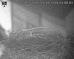 Capi_Dubne_20261026_000003.jpg
