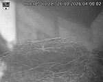 Capi_Dubne_20261026_040002.jpg
