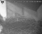 Capi_Dubne_20261026_050003.jpg