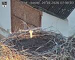 Capi_Dubne_20261026_070003.jpg