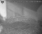 Capi_Dubne_20261027_000003.jpg