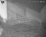 Capi_Dubne_20261027_010002.jpg