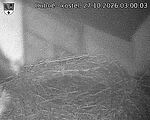 Capi_Dubne_20261027_030003.jpg