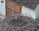 Capi_Dubne_20261027_130003.jpg