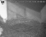 Capi_Dubne_20261027_190003.jpg