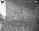 Capi_Dubne_20261028_000002.jpg