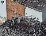 Capi_Dubne_20261028_100003.jpg