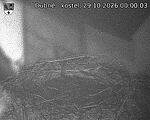 Capi_Dubne_20261029_000003.jpg